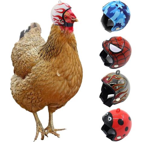 5pcs Casque Poule Protège-Tête Coq Sécurité Accessoire Volaille Protection Crâne Poulet Chapeau Protection Animaux Lot de 5 (1/5)