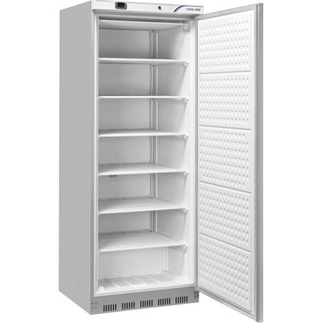 Armoire réfrigérée négative 400 L - Inox 6 étagères fixes Thermostat numérique -22°C à -18°C - Cool Head (1/5)