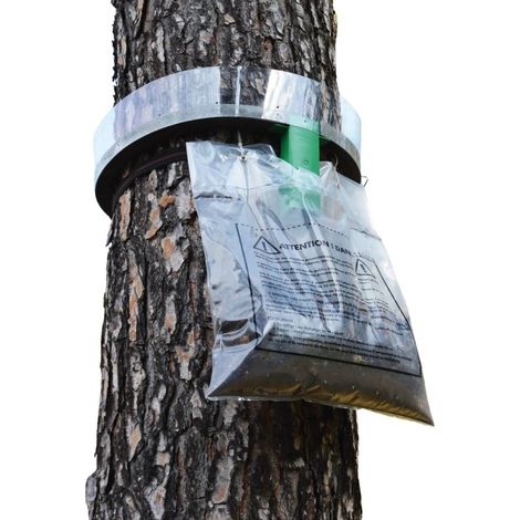 Kit de piègeage anti chenilles processionnaires du pin 35 cm – Filet anti-oiseaux et anti-insectes – Protection pour végétaux – Protecta