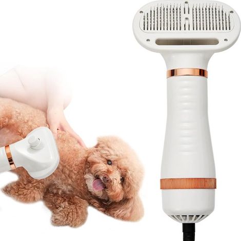Sèche-cheveux professionnel pour animaux avec brosse lissante - 3 réglages de température, épilation en une seule touche (1/5)