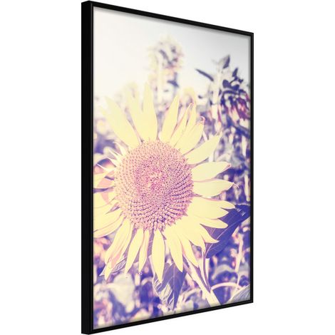 Affiche Murale Encadrée "Facing the Sun" 30 x 42 cm Noir