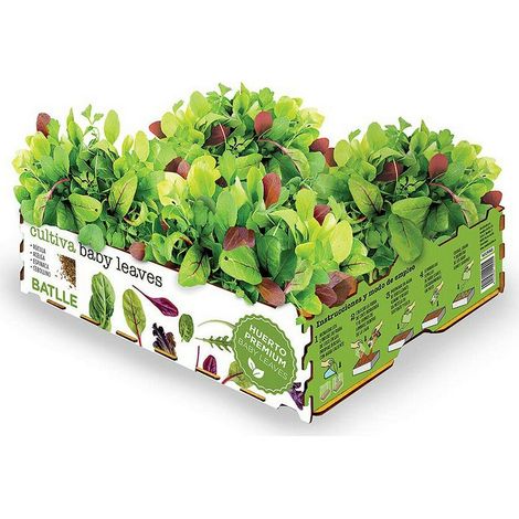 Kit di coltivazione batlle Germinazione rapida 40x29x10 5 cm