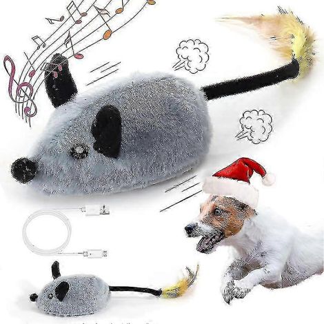 Souris factice pour chien avec capteur automatique, sons réalistes et queue extensible (1/5)