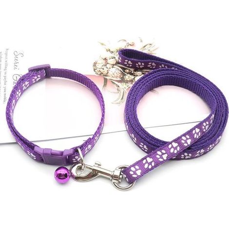Collar para cachorros con correa, correa ajustable de nailon suave para cachorros y perros pequeños, 1,2 m de largo, azul cielo (1/5)