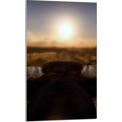 PLANCHE À DÉCOUPER EN VERRE 30x52 Soleil (1/5)