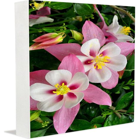 Cadre photo commémoratif, décoration de porte de bureau pour hommes et femmes d'affaires, idéal pour la Saint-Valentin, un mariage, un anniversaire, la fête des Mères et des Pères. (1/5)