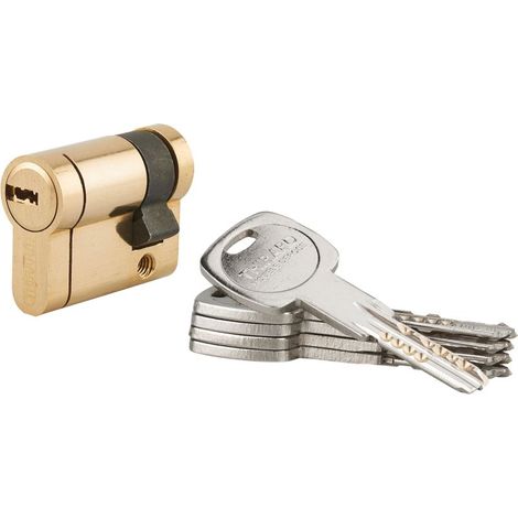 Demi-cylindre de serrure Trafic 12, 30x10mm, laiton, anti-arrachement, anti-perçage, anti-casse, 5 clés - (1/4)