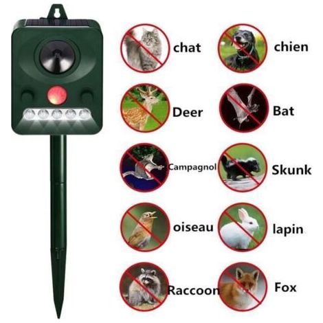 Solarbetriebenes Ultraschallgerät zur Abwehr von Katzen und Gartenschädlingen – Einstellbare Frequenz (1/5)