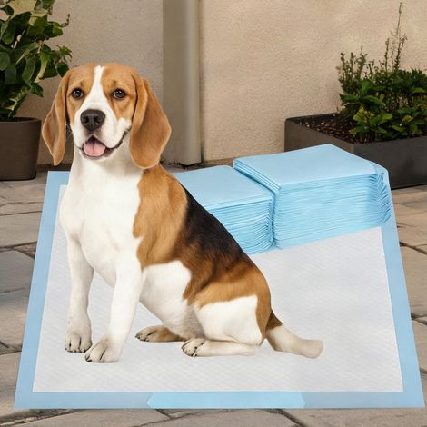Tapis d'éducation pour chien 80 pièces jetables 60 x 60 cm bleu (1/5)
