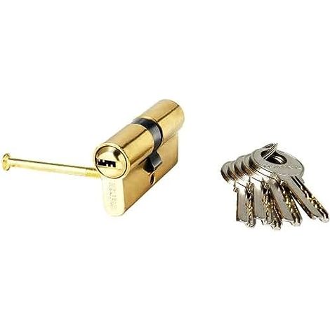 Cilindro di sicurezza Wolfpack 30x30 mm. Camma lunga in ottone con 5 chiavi (1/4)