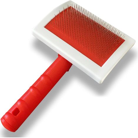 1 - Brosse Lissante - Accessoire Tapis - Nettoyage Poils Animaux - Acier Inoxydable - Pour Maison Et Voiture - Argent