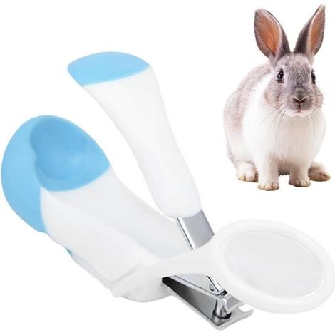 Coupe-ongles pour animaux - Non spécifié - Cochon d'Inde - Antidérapant - Acier inoxydable - Loupe intégrée (1/4)