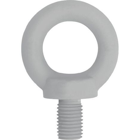 Bullone a occhiello filetto DIN 580 M10 STA C15 ZN (Per 50)