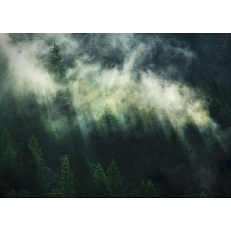 Papier peint panoramique naturel Couronnes Brumeuses (1/3)