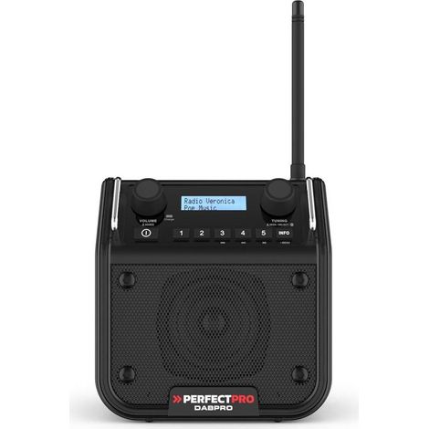 Radio de chantier DABPRO - 1.34 kg - D-Work (1/2)