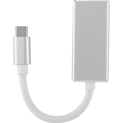 Câble d'extension vidéo HD Type-C vers MINI DP 1080P, transmission haute vitesse, couleur argent (1/5)