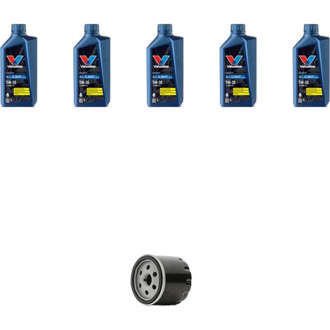 Kit filtro olio e 5L compatibile con Renault Kangoo II 1.5 Dci 55kw Dal 2010 (1/5)