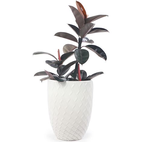 Pot de fleurs en céramique blanc brillant grand format 42 x 54 cm, fait main, motif losange, drainage et résistance au gel, intérieur extérieur CHICFURN (1/5)