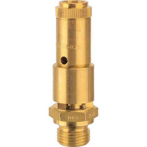 Riegler Sicherheitsventil DN 10, Messing, G 1/2, Ansprechdruck 5 bar (1/4)