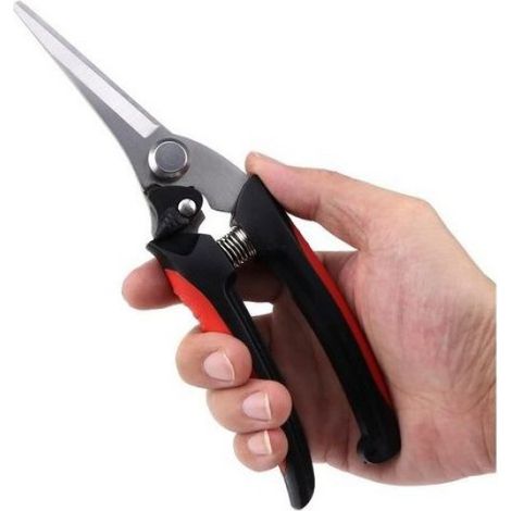 Sécateur à lames croisées - Lames acier carbone précision Ergonomique droitier - Taille plantes et bonsaï (1/5)