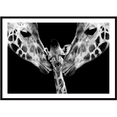 POSTER FOTOGRAFICO IN CORNICE 33x43 cm Giraffe P2257 (1/3)