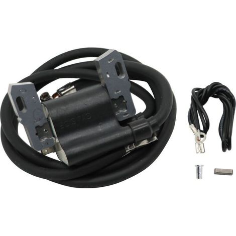 Bobine d'allumage haute tension compatible avec 16-18 CV 590781 392329 394891 394988