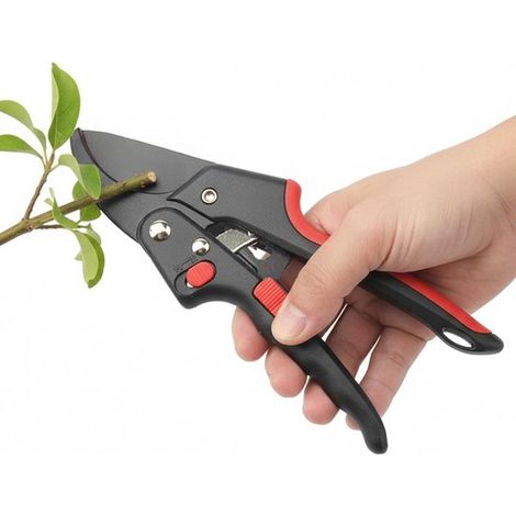 Forbici da giardino, per tagliare piante, impugnatura ergonomica, 17 cm, non specificato (1/5)