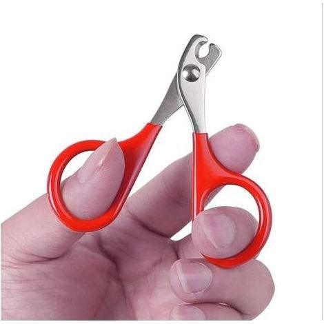 Coupe-ongles pour chat et chien, ciseaux à griffes professionnels avec poignée antidérapante en plastique et caoutchouc, tondeuse pour petits animaux (lapin, chiot), CatRed (1/2)