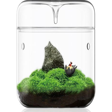 Terrarium en Verre pour Plantes Cloche de Jardin avec Couvercle Conique Récipient pour Mousse et Micro Paysage (1/5)