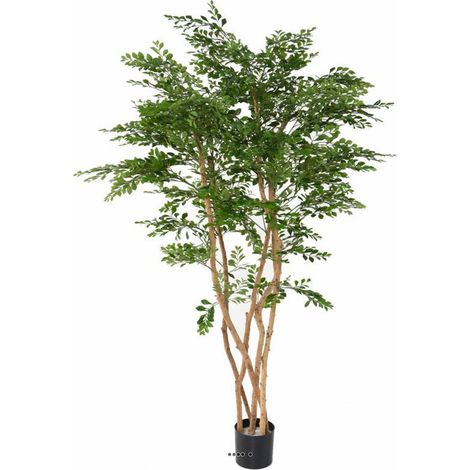Acacia Artificiel 5 Troncs Naturels H 180 cm D 100 cm en pot