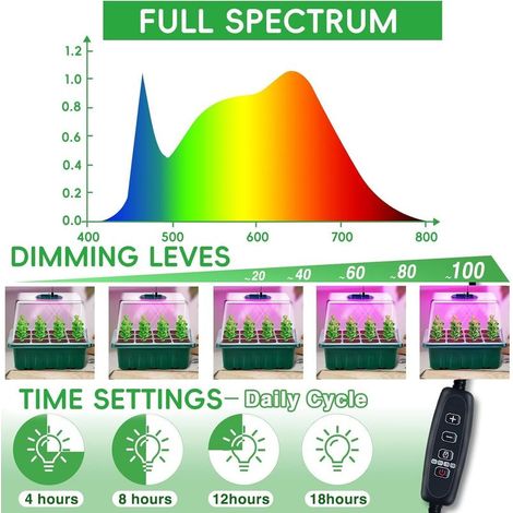 Mini Serre pour Plantes avec Lampe, 4 Pièces Serre Semis de Culture avec contrôleur de synchronisation luminosité réglable, épaissir Boite Semis avec Couvercle surélevé, Vert (1/5)