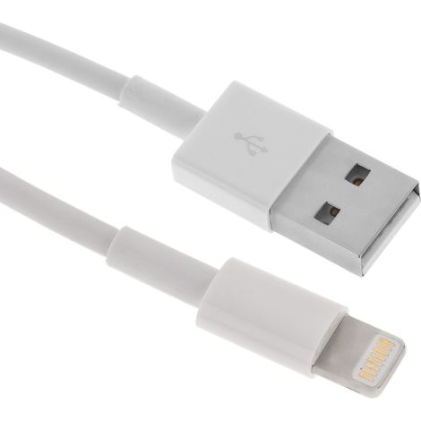 BeMatik - Câble USB type A connecteur Lightning mâle vers mâle 1 mètre (1/5)