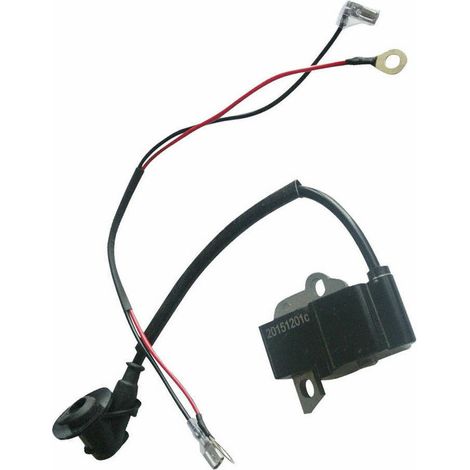 Bobine d'allumage du paquet à haute pression Ignition TS 410 TS410 TS420 4238 400 1301 (1/5)