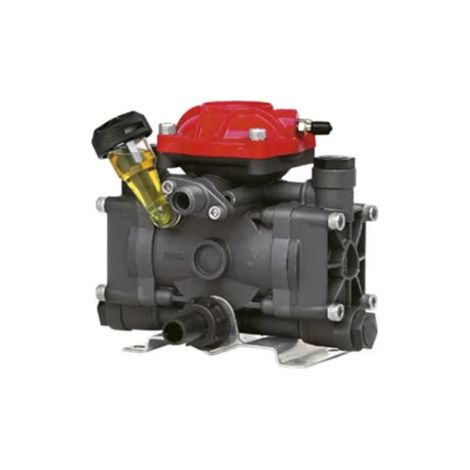 Pompe PULVE moyenne pression 25 bar RENSON (1/3)