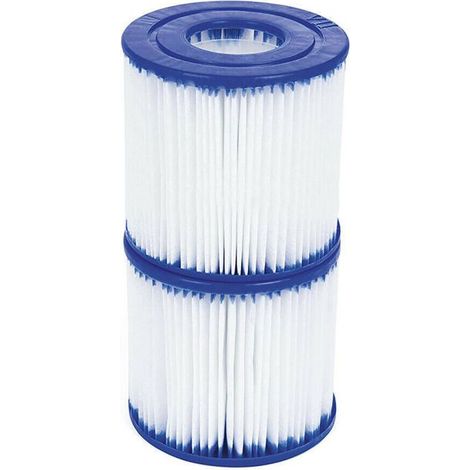 Lot de 2 cartouches filtrantes spa type VI pour Bestway SaluSpa et Coleman (1/5)