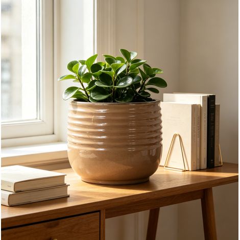Pot de fleurs en céramique Ø 26 cm, rond, émaillé brun clair, avec trous de drainage HAVRYA (1/5)