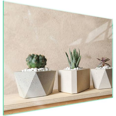 Protection de plaque de cuisson en verre 70x52 Cactus (1/5)