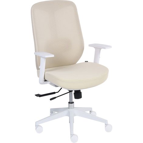 Office Chair Beige Mesh Fabric with Lumbar Support Adjustable Armrests Sliding Seat ZELAR (1/5)
