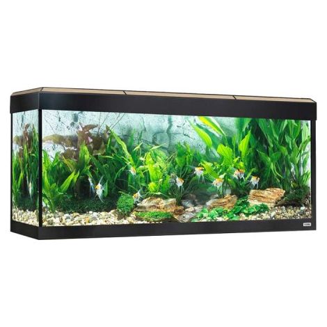Fluval Rome LED Bluetooth 240L, quercia