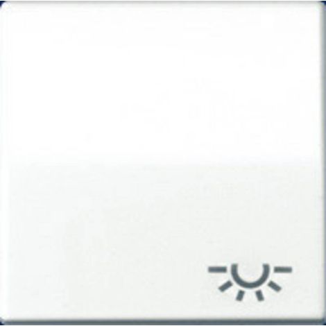 Jung Tasto singolo, simbolo luce, duroplastica, serie AS, bianco alpino AS 591 L WW (1/2)