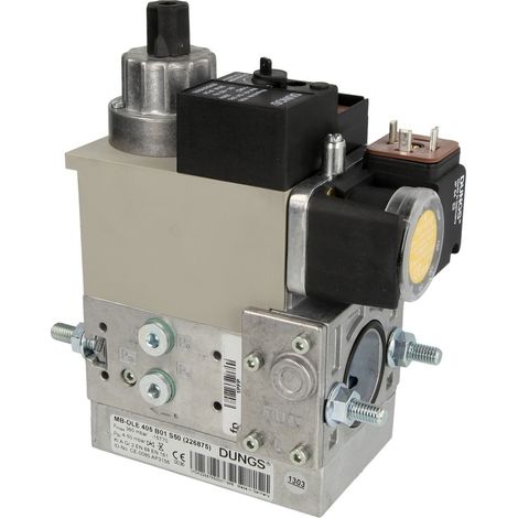 Dungs Bloc gaz MB-DLE 405 B01 S50