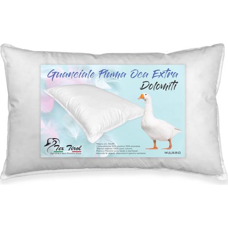 OREILLER, COUSSIN, PLUME DE DUVET, D'OIE DOLOMITES TEX TIROL © (1/5)