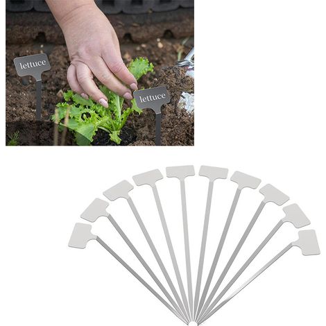 Étiquettes pour plantes en acier inoxydable 304, plaques de marquage imperméables pour le jardin, étiquettes réutilisables pour pépinières (1/5)