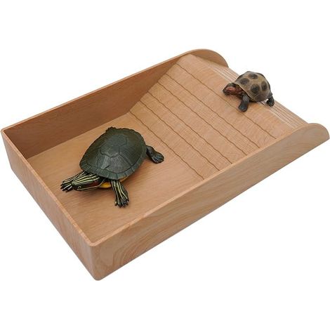 Schildkröten Bac à eau grand bol reptiles avec rampe convient terrasses ensoleillées lézards amphibiens (grain de bois) (1/4)