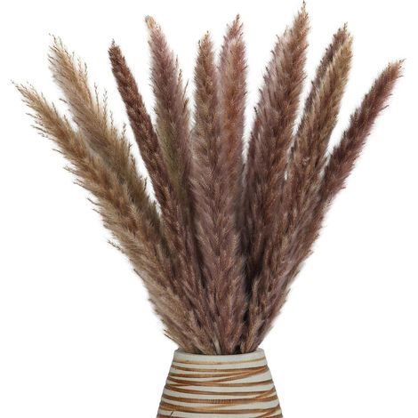 Plume De Pampas - 30 Pièces - Longueur Environ 43 Cm - Décoration Intérieure Maison Mariage Fête - Séché Naturel (1/5)
