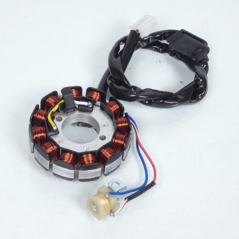 Stator d allumage Teknix pour Moto Rieju 50 MRT 2018 à 2017 Neuf (1/5)
