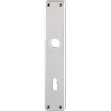 Plaque porte 202SP paires F1 BB-72 9999 18MM (1/3)