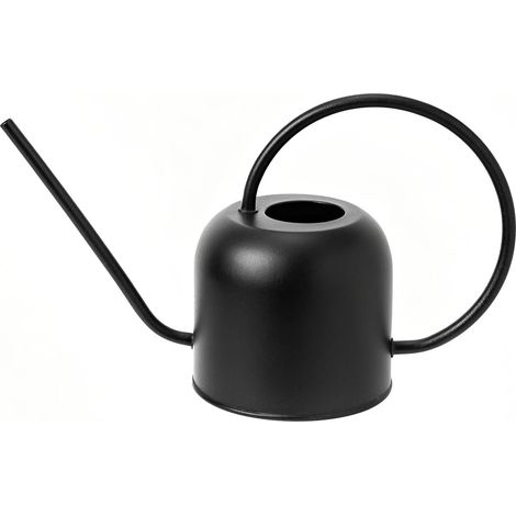 Arrosoir Intérieur Extérieur en Acier Inoxydable pour Plantes Domestiques Bec Verseur Long pour Plantes d'Intérieur Bonsaï Jardin Fleuri Décoratif (1/5)