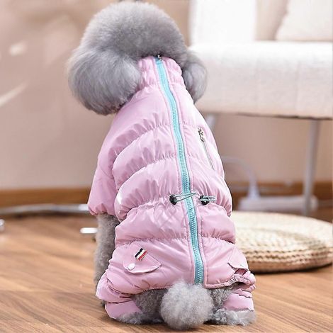 Veste d'hiver chaude et coupe-vent pour chiots de petite et moyenne taille, col montant, taille S (1/5)