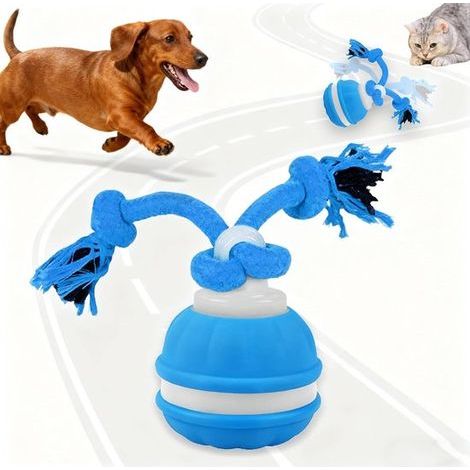 Interaktives Hundespielzeug – Hüpfball – Intelligenter Ball – Robust und langlebig – Aktiver Rollball für kleine und mittelgroße Hunde – 1 Stück – Blau (1/5)